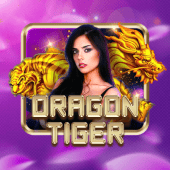 Dragon Tiger live dealer on bingo game