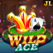 Wild Ace slot on bingo game games